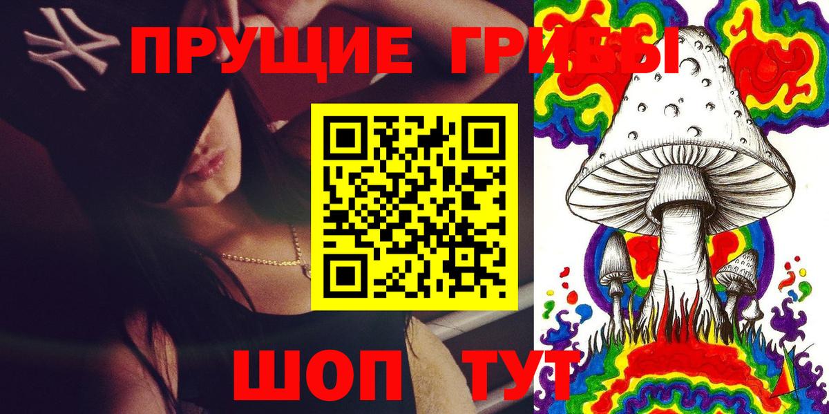 Псилоцибиновые грибы Psilocybine cubensis Каспийск