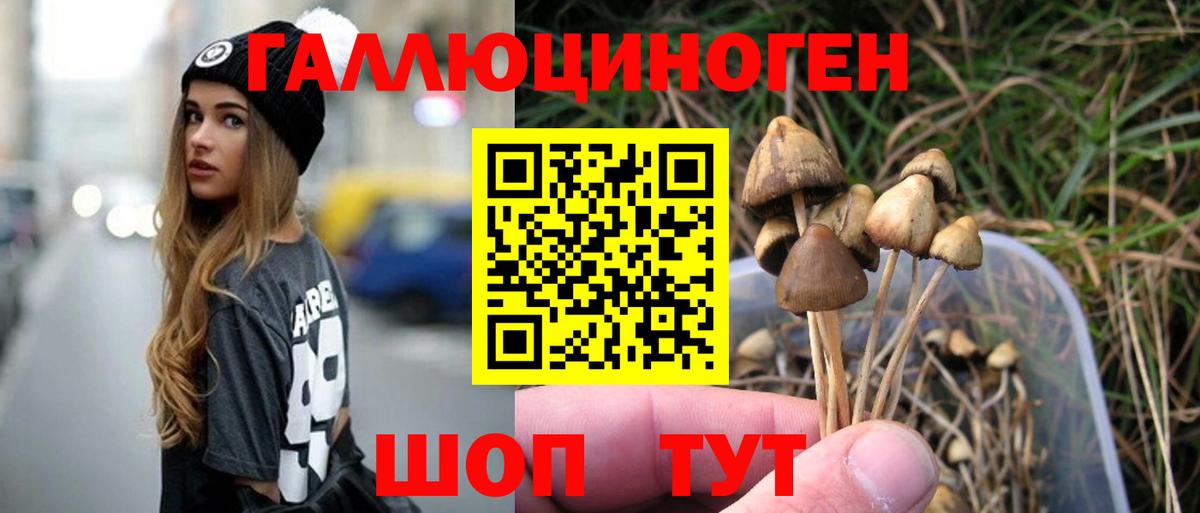купить наркотики цена  Псилоцибиновые грибы Magic Shrooms  Вход с VPN  Каспийск 